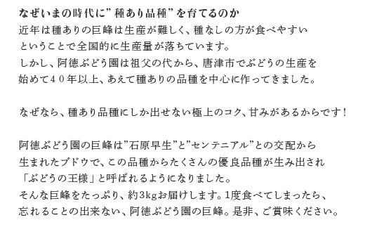 朝採れの、極上のコク、甘みのある大粒巨峰を
産地直送いたします。 ギフト 贈り物 にもぜひ。