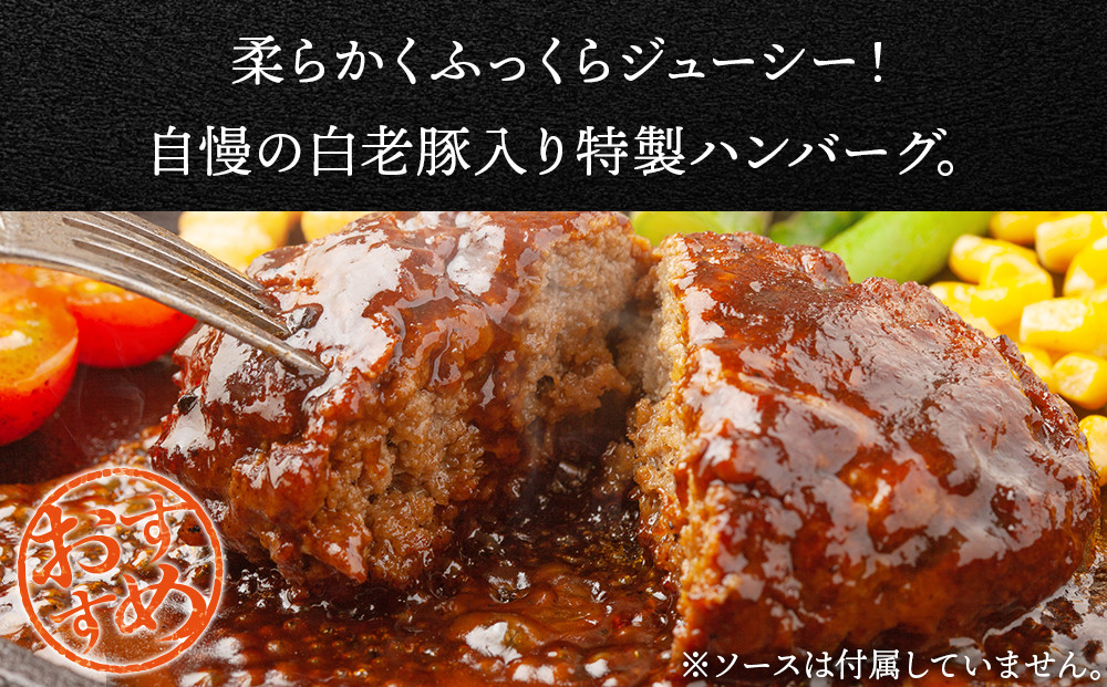 【定期便 3カ月】 北海道産 白老豚 ハンバーグ 120ｇ×15個 セット 冷凍 洋食 おかず