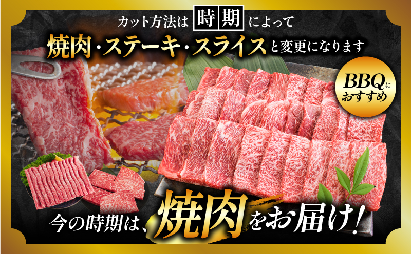 【7月末までにお届け】【畜産農家応援】リピーター続出!!数量限定 厳選 宮崎牛 赤身 焼肉 計1kg 粗挽きウインナー 牛肉 国産 BBQ すき焼き 人気 黒毛和牛 肩ウデ モモ しゃぶしゃぶ A4 