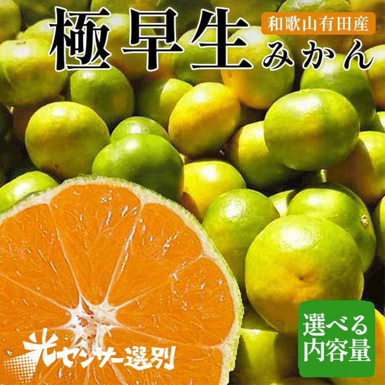 【ふるさと納税】 選べる内容量　こだわりの極早生みかん 農家直送 有機質肥料100% サイズ混合 ｜ みかん 極早生 早生 柑橘 果物 くだもの 果実 フルーツ 和歌山 有田 ※北海道・沖縄・離島への配送不可 ※2025年9月下旬～10月中旬頃に順次発送予定