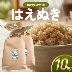 はえぬき 玄米 計10kg 5kg×2袋 令和7年産米 山形県遊佐町産 東北 山形県 遊佐町 庄内地方 米 お米 庄内米 ブランド米 ご飯 ごはん [1445R07]