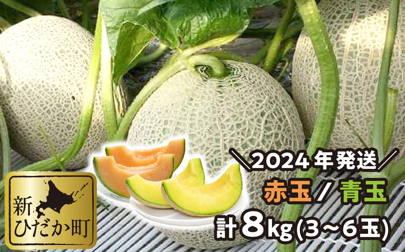 
＜ 2024年 7月中旬より発送 ＞ 北海道産 メロン 赤肉 青肉 8kg 3～6玉 食べ比べ セット ＜ 予約商品 ＞ 北海道 めろん 果物 フルーツ 旬 贈答
