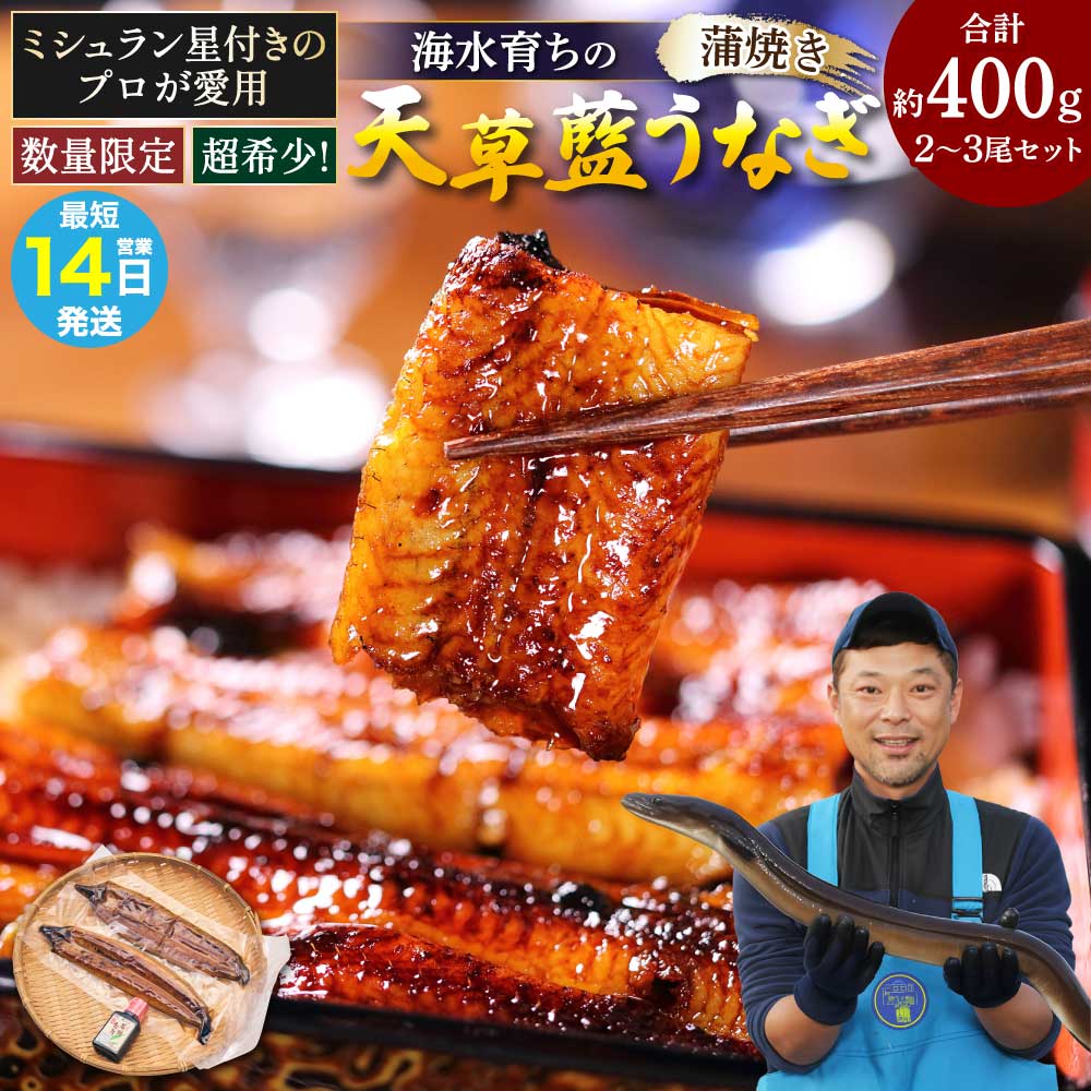 【ふるさと納税】 【ミシュラン1つ星店 採用】 うなぎ 国産 〈数量限定〉海水育ちの天草藍うなぎ 蒲焼き 2〜3尾セット (計約400g) 鰻 ニホンウナギ 惣菜 熊本県産 九州 国産 冷凍 送料無料 株式会社天草海産