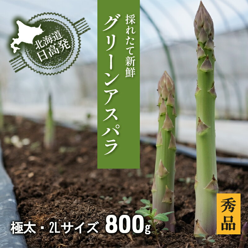 【ふるさと納税】2L【秀品】800gグリーンアスパラ＜北海道日高門別産＞ アスパラガス アスパラ 春野菜 春 朝採り 朝採れ 新鮮 農協 JA 直送 野菜　お届け：2026年4月上旬～5月末まで