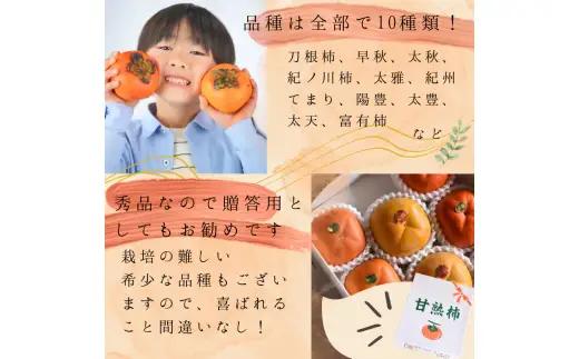 旬の 柿 詰め合わせ 2kg 特秀 / 詰め合わせ かき 2kg 甘い 太秋柿 紀ノ川柿 富有柿 早秋柿 珍しい 希少 和歌山産 ※2026年10月上旬～11月下旬に順次発送【frt504-p-tum