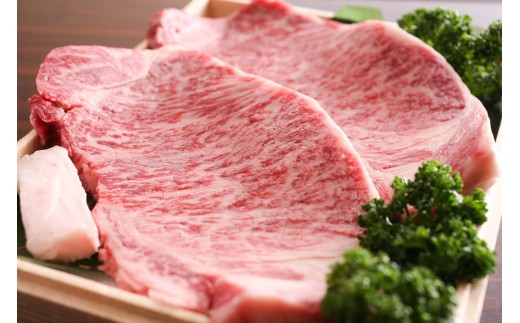 飛騨牛 サーロインステーキ １枚 牛肉 和牛