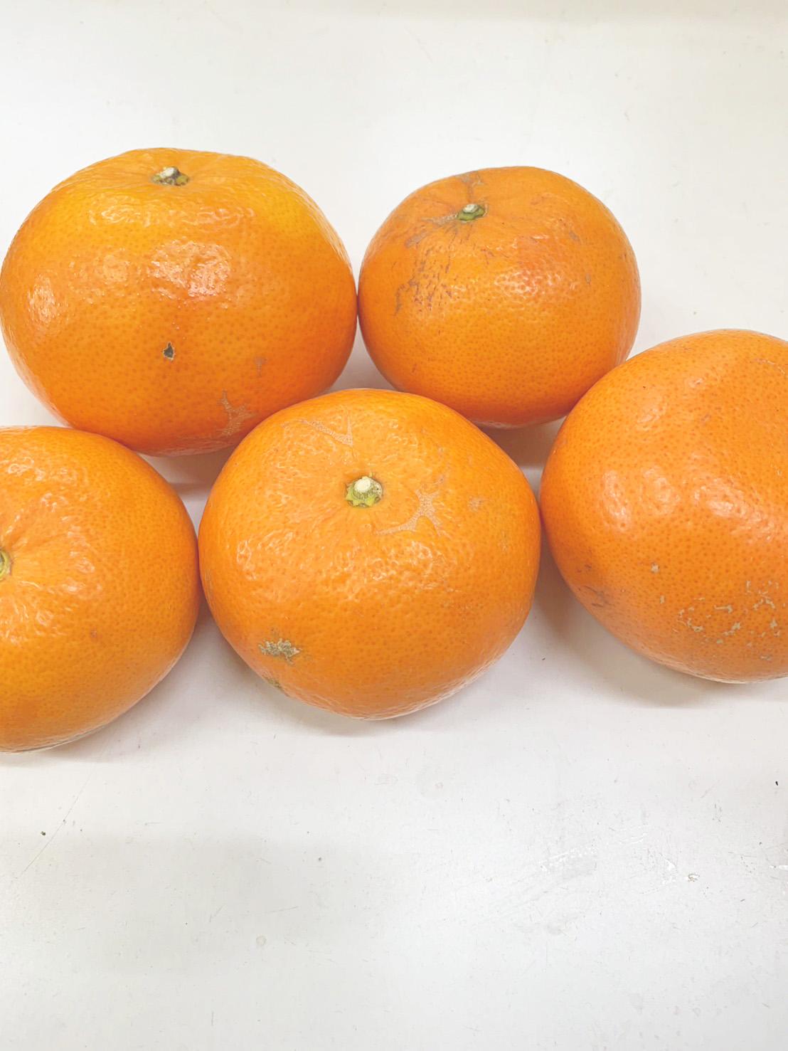 麗紅柑（れいこう）青秀品（家庭用）2S～3Lサイズ 3kg　CC60_イメージ4