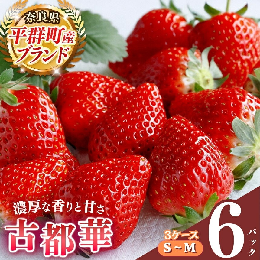 【ふるさと納税】 いちご 平群の古都華 S～Mサイズ （2パック×3ケース）計6パック 阪野農園 | 先行予約 フルーツ 果物 くだもの ブランド いちご 苺 古都華 ことか 甘い 希少 希少品種 3月 4月 発送 旬 送料無料 濃厚 香り 果汁 味わい深い 農家直送 名産地 奈良県 平群 町