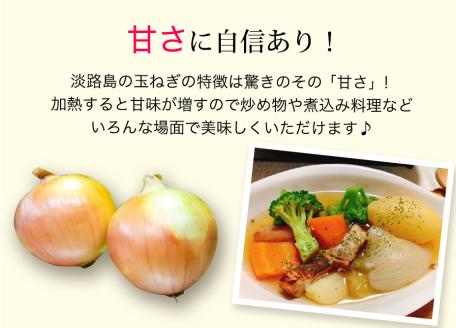 【あさひサンファーム】【10kg】兵庫県認証食品★特別栽培★淡路島たまねぎ