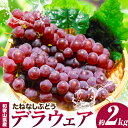 【ふるさと納税】ぶどう たねなし デラウェア 約2kg 紀の川市厳選館 《6月中旬から8月上旬頃出荷》 和歌山県 紀の川市 フルーツ ぶどう デラウエア たねなし 2kg 和歌山県産 送料無料