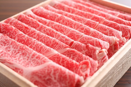飛騨牛 しゃぶしゃぶ 肩ロース 300g [EN091]