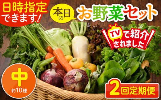 
                  【2回定期便】日時指定OK！本日のお野菜セット 〈中サイズ/約10種〉 2～3人用 新鮮 産地直送 野菜詰め合わせ 有機栽培 野菜 果物 野菜セット 野菜定期便 送料無料 【オーガニックのまち 宮崎県綾町】
                