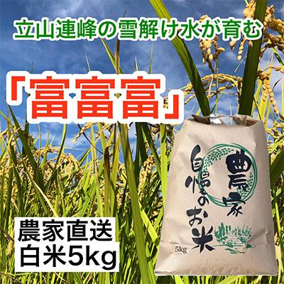 ふるさと納税 魚津市 農家直送「富山米　富富富」5kg(白米)