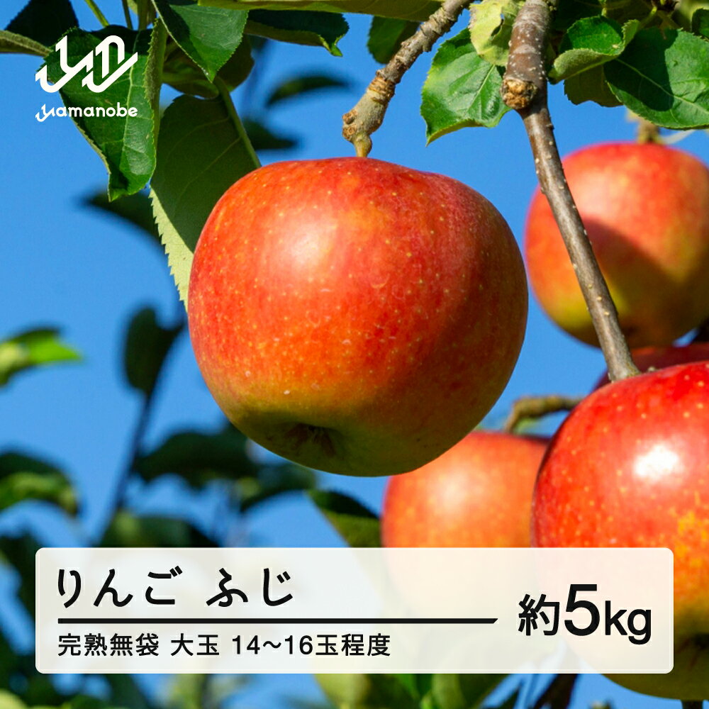 【ふるさと納税】《先行予約》2026年産 渡辺果樹園 完熟無袋 りんご ふじ 約5kg（14〜16玉程度）大玉 2026年12月上旬より順次発送 秋果実 果物 フルーツ サンふじ 送料無料 F20A-141 ※沖縄・離島への配送不可