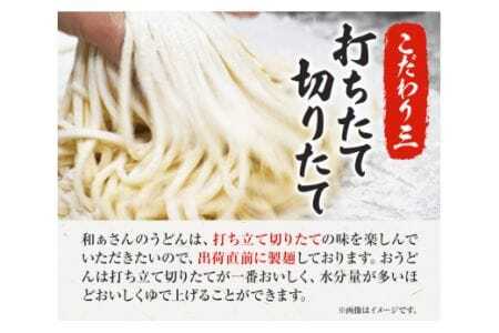 おうどんセット 10人前 《90日以内に出荷予定(土日祝除く)》和ぁさん家、株式会社栄工製作所 うどん 麺 生麺 生うどん 本格 手作り 和食 ご家庭用 こだわり お手軽 ギフト セット 薬味 だし付