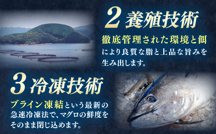 【全6回定期便】対馬産 本マグロ 800g（赤身400g、中トロ400g） ≪対馬市≫【桐谷商店】 トロの華 対馬 新鮮 マグロ 赤身 トロ 鮪 刺身 [WAQ073]