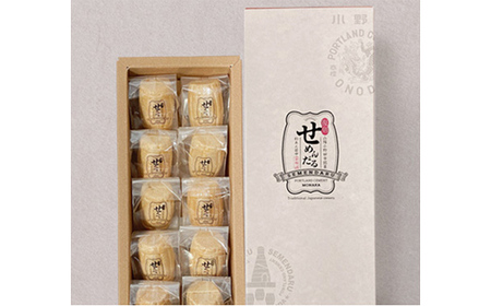 【熨斗付き/御中元】「復刻せめんだる」10個入り F6L-907