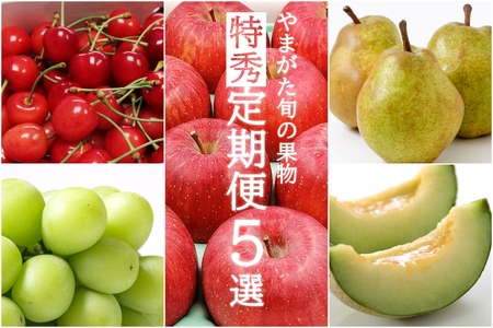 【2025年6月～12月発送分先行受付】【定期便5回】山形の果物特秀5選(さくらんぼ/メロン/シャインマスカット/ラ・フランス、サンふじりんご)_H199(R7)