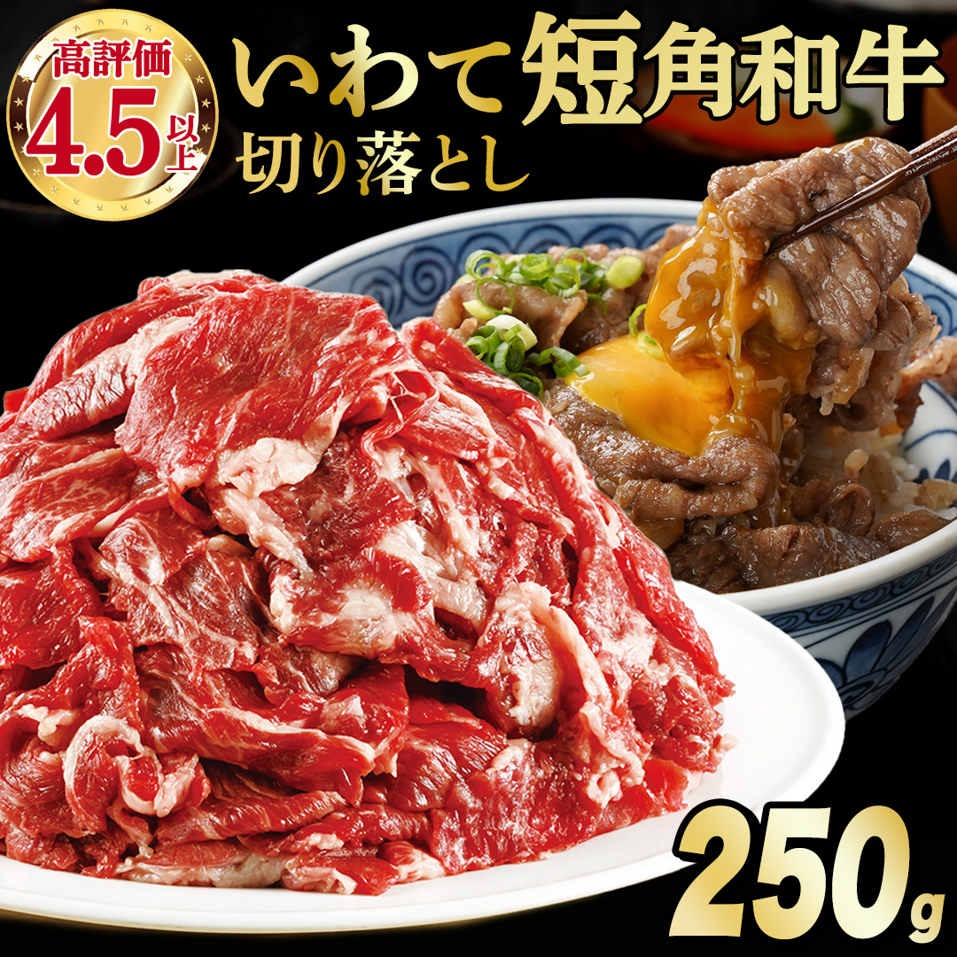 【8月発送】切り落とし 赤身 肉 牛肉 いわて 短角和牛 250g 小分けパック 真空冷凍 | 牛肉 肉 赤身 短角 和牛 国産牛 ブランド牛 切り落し 大容量 牛丼 肉じゃが 煮込み 煮物 小分け 真空パック 数量限定 (AB109-08)