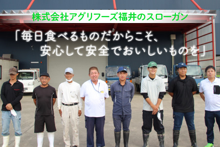 【令和7年産・新米】 【6ヶ月連続お届け定期便】おおかわさんちのコシヒカリ 5kg × 6回 計30kg 精米 [J-10801]