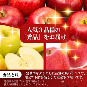 りんご 志賀高原 定期便 3ヶ月 りんご