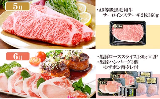 定期便(1年で10回配送)お楽しみ便(A5等級黒毛和牛・鹿籠豚(黒豚)・かご豚加工品等HH-6004【1166752】 _ ふるさと納税 定期便 肉 牛肉 サーロイン ステーキ 焼肉 ハンバーグ 切り