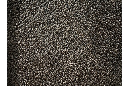 心と体に、じんわり染みわたる 京丹後の玄米ラテ「ターカラ」〈コーヒーテイスト〉