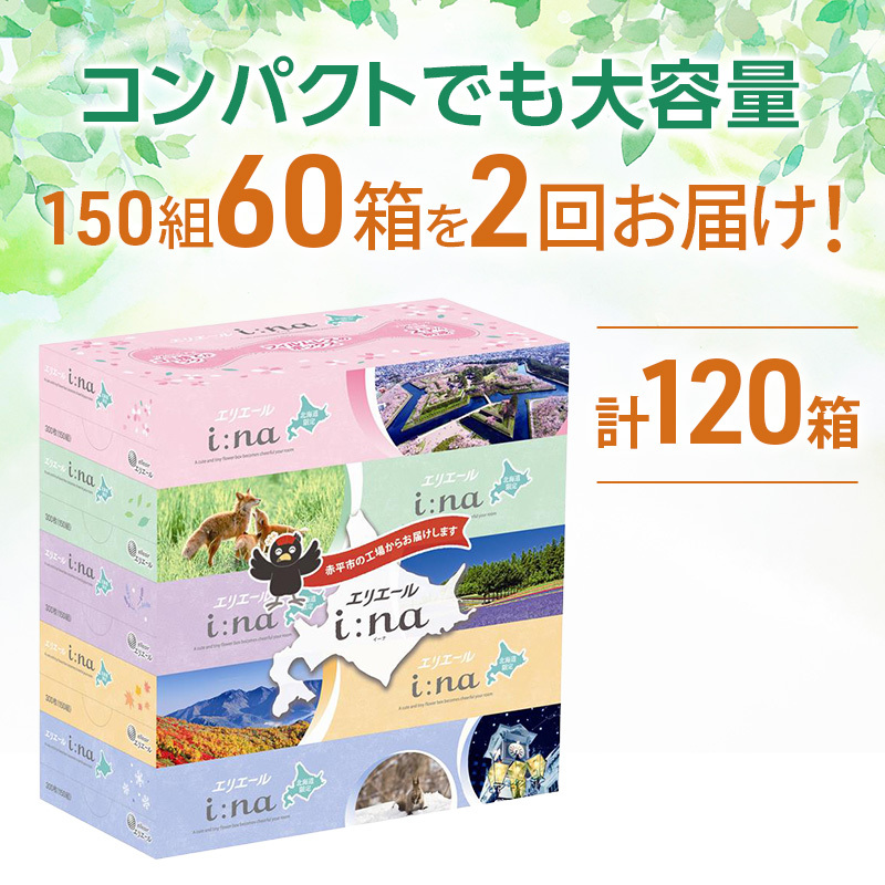 【2回お届け 計120箱】エリエール i:na (イーナ) 北海道 ティシュー 150組5箱 12パック フィルムレス ふるさと納税限定デザイン イーナ ボックスティシュー 箱ティッシュ ペーパー 備