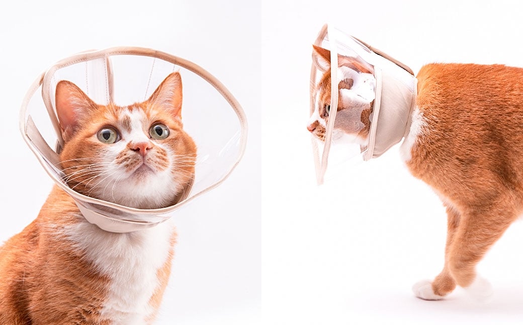 ぽぽねこ 軽くて柔らかい猫用エリザベスカラー