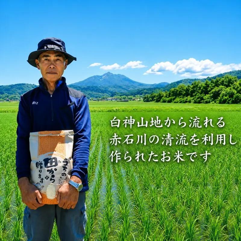 はれわたり 玄米 令和8年産 山下農園 青森県産 はれわたり【5kg】