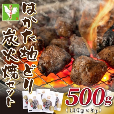 
はかた地どり炭火焼セット500g(100g×5p)(水巻町)【1444181】
