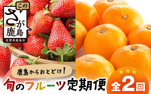 
            【定期便 2回】鹿島からお届けフルーツ定期便 佐賀美人(みかん)5kg・いちごさん240g×4パック｜ ふるさと納税 フルーツ 果物 定期便 定期 佐賀美人 いちごさん いちご みかん くだもの バラエティ セット 佐賀県 鹿島市 送料無料 人気　D-274
          