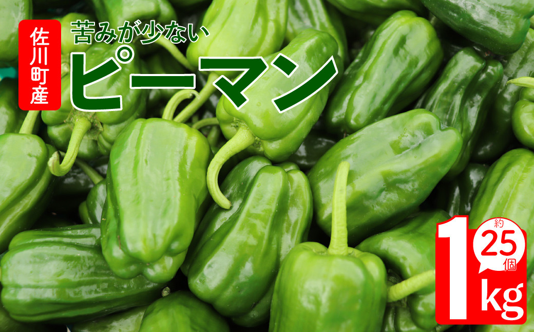 
            【ピーマン 1kg］ さらら 高知 野菜 夏 苦みが少ない 佐川町産 ＜毎年5月下旬頃～11月頃まで発送予定＞＜2026年 発送分 予約受付中＞
          