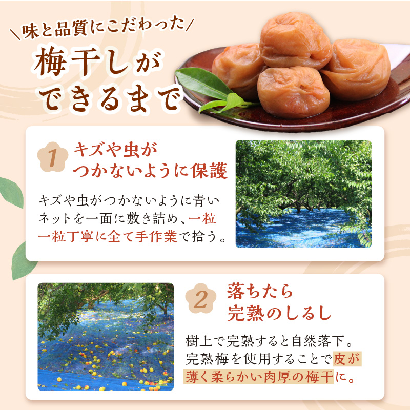 紀州南高梅 はちみつ梅(塩分8%) 2kg（和歌山県産）