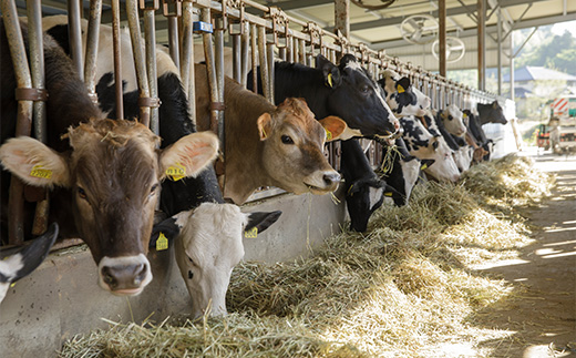 【宮城蔵王】ヨーグルト工房Atreyu ヨーグルト詰め合わせ「ブルーギフト」 【04301-0948】