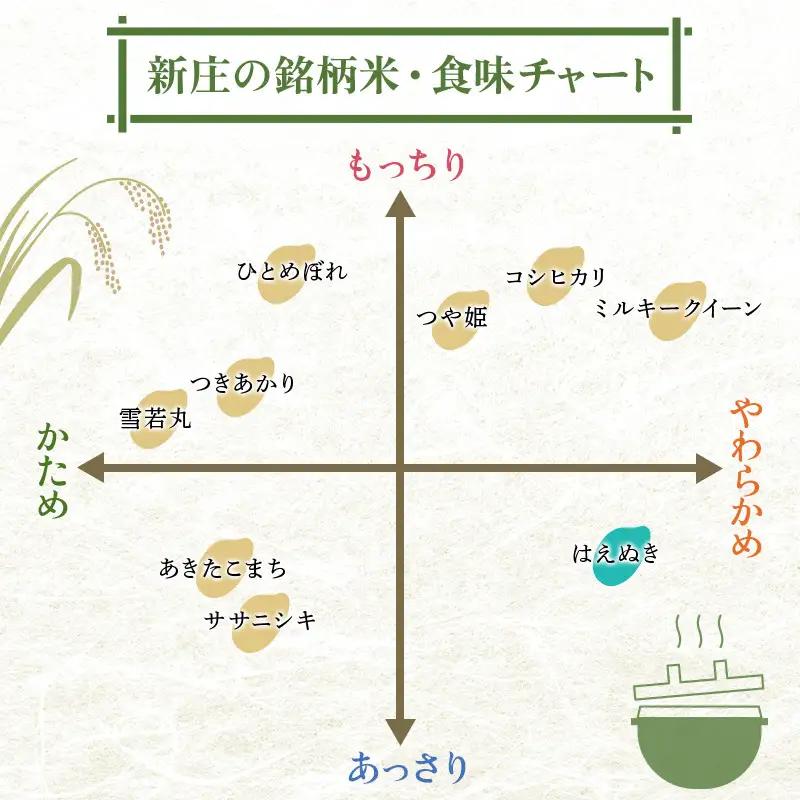 【数量限定】令和7年産 山形県産 はえぬきブレンド米 国産複数原料米 100％ 5kg×2 計10kg 精米 【最上ノ米蔵】 こめ お米 米 白米 F3S-2807