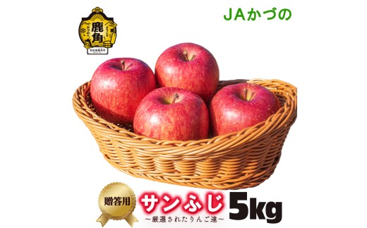 《先行予約》サンふじ 贈答用 5kg【JAかづの】●2026年11月下旬頃発送開始 鹿角産 りんご サンふじ 5kg 林檎 リンゴ 完熟 旬 県産りんご お中元 お歳暮 贈り物 お見舞い ギフト 秋田県 秋田 あきた 鹿角市 鹿角 送料無料 かづの農業協同組合