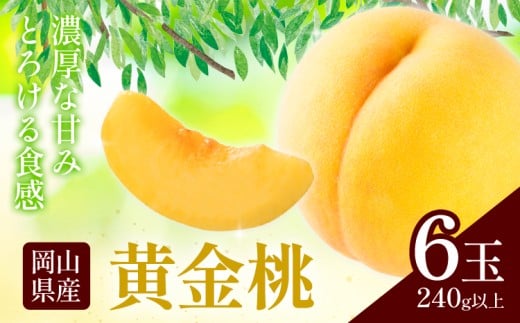 岡山県産 黄金桃 6玉(240g以上)《9月上旬-9月下旬頃に出荷予定》 岡山 白桃 岡山県 矢掛町 黄桃 桃 モモ 果物 スイーツ フルーツ デザート