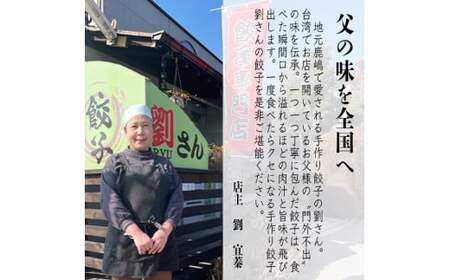 餃子 手作り餃子 20個入り 1袋 冷凍 鹿嶋市