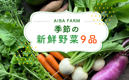 【栽培期間中農薬不使用】農家直送！「９品」季節の新鮮野菜詰め合わせセット  AIBA FARM TML001 / 野菜セット 野菜 千葉県 富里市 直送野菜 お野菜セット 旬野菜 季節野菜 農家直送 採れたて とれたて やさい 詰め合わせ セット ヤサイ  旬の野菜 季節の野菜 産地直送 詰め合わせ おまかせ 新鮮 農薬不使用 野菜 