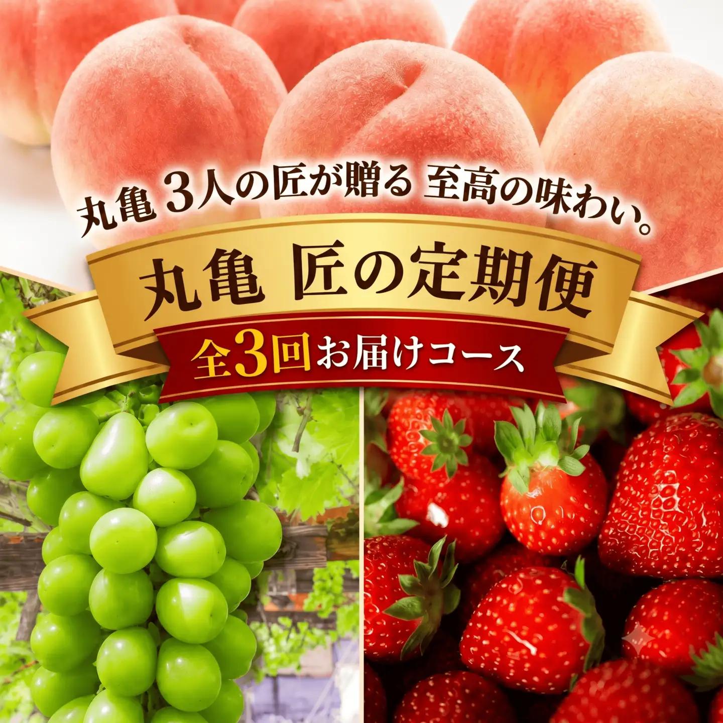 【全3回】フルーツ定期便 旬のフルーツ 桃 シャインマスカット いちご