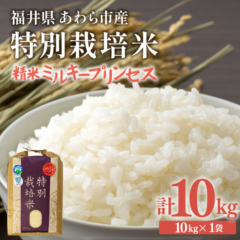 【ふるさと納税】【先行予約】【令和7年産】化学肥料不使用 特別栽培米 ミルキープリンセス 精米 10kg×1袋 / 白米 米 福井県あわら市産 美味しい 特別栽培米 減農薬 安心な米 旨味 甘み もっちり 冷蔵保管米 ※2025年9月下旬より順次発送