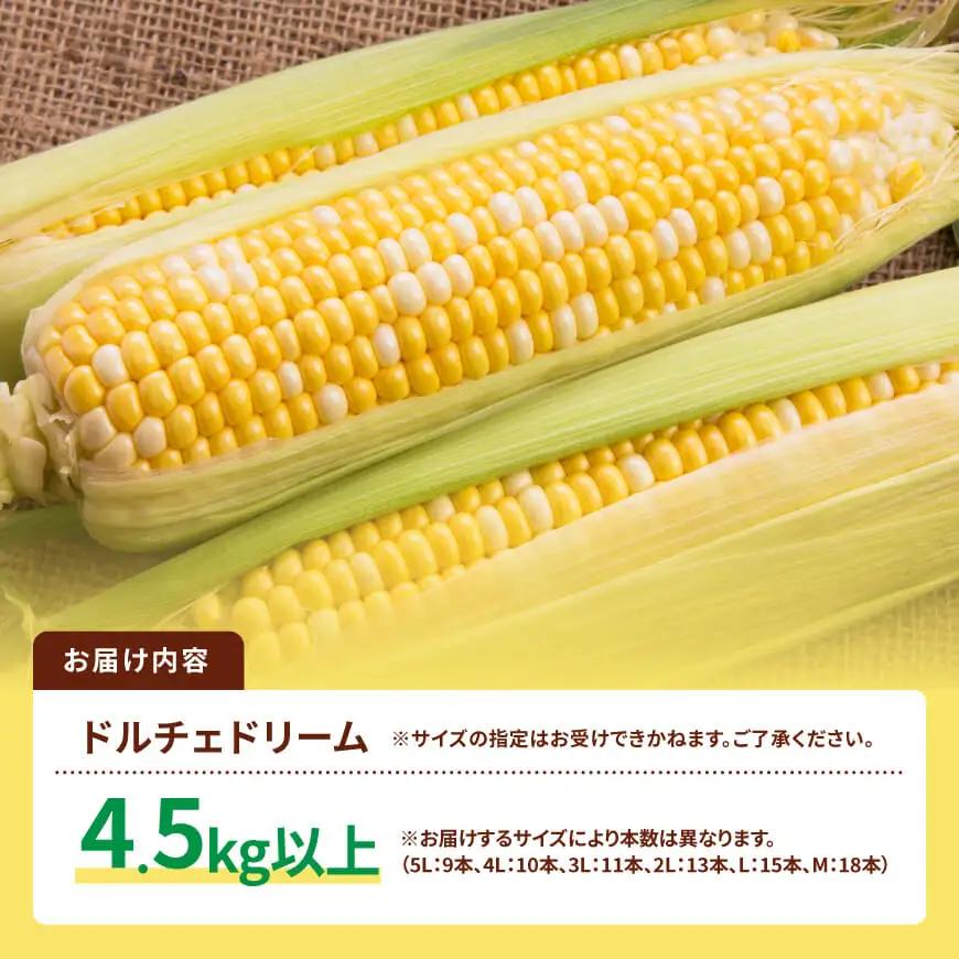 【令和9年発送】SUNちゃん農園産「ドルチェドリーム4.5kg以上（サイズ指定不可）」 【 とうもろこし ドルチェドリーム トウモロコシ 令和9年発送 数量限定 期間限定 】