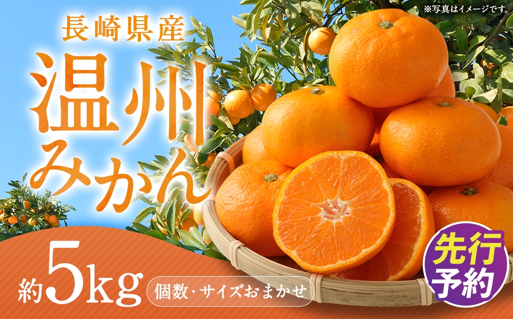 
                  長崎県産 温州みかん 5kg (個数・サイズ おまかせ) ／ フルーツ 果物 くだもの 果実 ミカン 蜜柑 柑橘 長崎県 長崎市 川口農園 アフター保証 【2026年11月下旬-2027年1月下旬発送予定】
                