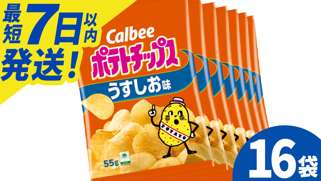 
                  ポテトチップス カルビー 「うすしお味」16袋（55g×16袋）1ケース 総計880g【ポテチ Calbee うすしお セット 菓子 ポテト チップス スナック おやつ しお じゃがいも ジャガイモ お取り寄せ まとめ買い 詰め合わせ 詰合せ 人気 送料無料】  (BG026)
                