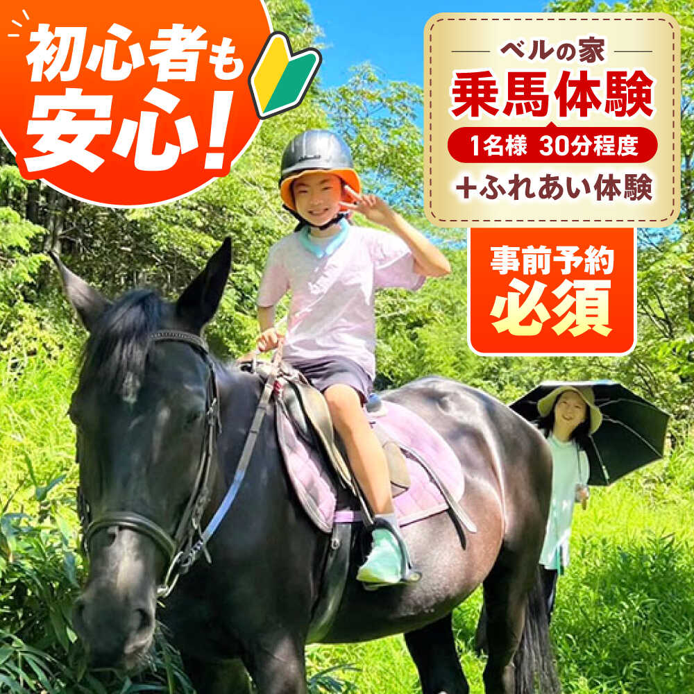 【ふるさと納税】乗馬体験券（ふれあい、30分程度の乗馬）1名分 チケット 馬 岐阜 乗馬 乗馬体験 体験 旅行 観光 お取り寄せ醤油 しょうゆ 刺身醤油 クラフト醤油 調味料 詰合せ レトロ セット ギフト お取り寄せ恵那市 / ベルの家[AUCN001]
