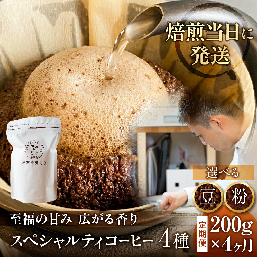 【ふるさと納税】 ＼焙煎当日発送／ 定期便 4ヶ月 甘みたっぷり スペシャルティコーヒー 超希少種 コーヒー豆 スペシャリティ ゲイシャ 200g × 4ヵ月 挽きたて 豆 粉 珈琲 自家焙煎 浅煎り 高級コーヒー 希少コーヒー プレゼント ギフト 焙煎幸房”そら” 岐阜県 大垣市