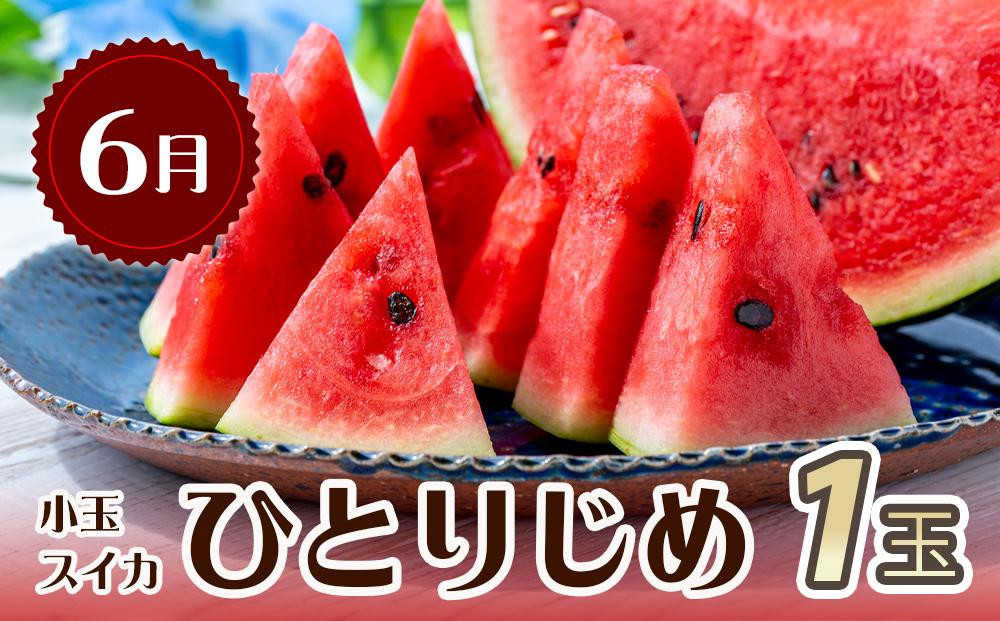 【全3回 定期便】 紀州和歌山産旬のフルーツセット（6月：スイカ・7月：桃・8月：梨） ［UT138］