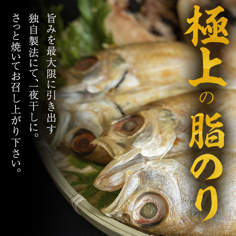 のどぐろ 定期便 2ヶ月 一夜干し 5枚×2回お届け 富山 干物 ひもの 国産 ノドグロ 惣菜 おかず ごはんのお供 加工食品 冷凍 冷凍食品 魚 魚介類 魚介 海産物 定期 お楽しみ 2回_イメージ