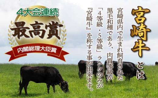 KU480＜2026年2月発送分＞宮崎県産 宮崎牛バラ焼肉用 250g×4パック 合計1kg